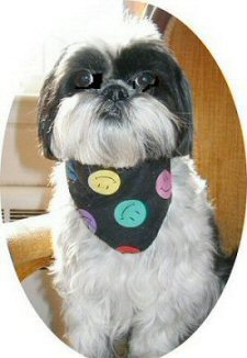 Smile scarf