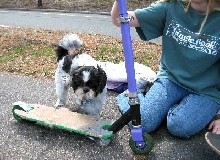 Scooter  Katie