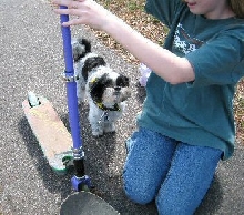 Scooter, girl...Katie