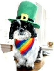 Shamrocksigtwo