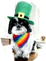 Shamrocksigtwo