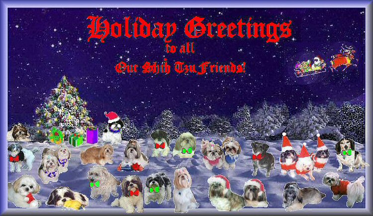 Shih Tzu Holiday Greetings....