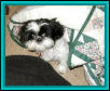 Quilt Katie