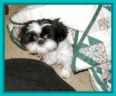 Quilt Katie