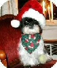 SogSanta3
