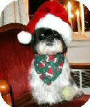 SogSanta3