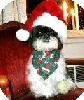 SigSanta4