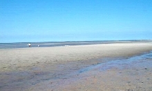 Skaket...low tide