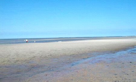 Skaket...low tide