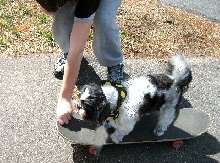 Skateboard Katie