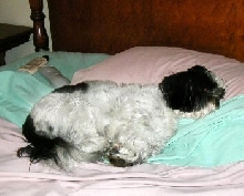 Sleeping beauty
