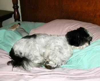 Sleeping beauty