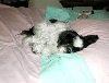 Bed Sleeping Beauty