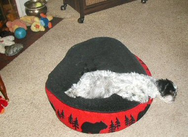 Sleeping postion