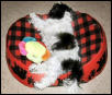 Sleeping new position