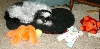 Sleepy time...