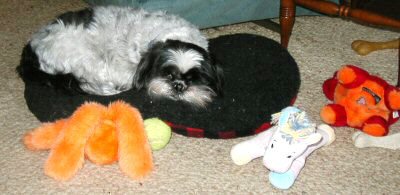 Sleepy time...