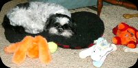 sleepysig