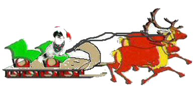 Sleigh with Santa Paws getting ready...
