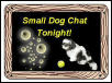 Small dog chat