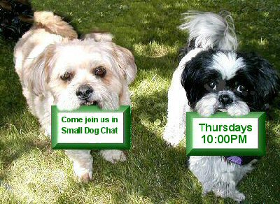 Chat Benji and Katie signs