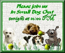 Chat...please join us...grass