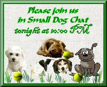 Chat...please join us...grass