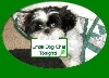 Small dog chat sign...