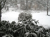 Snow..first
