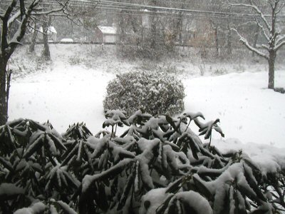 Snow..first