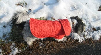Snow...patch of dirt...