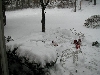 Snow...12-13-07