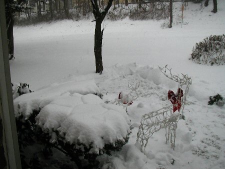 Snow...12-13-07