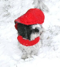 Let it snow...