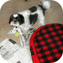 Forget about reading the newspaper
