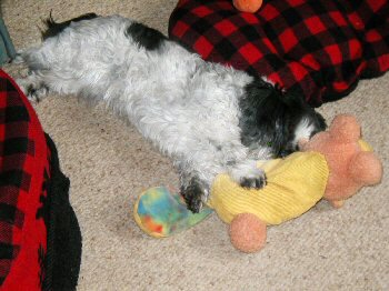 So tired...