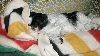 Sound asleep