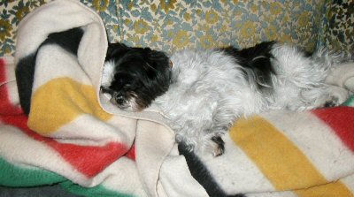 Sound asleep