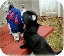 Spijo and Katie