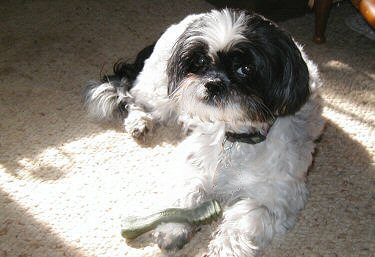 Spot in the sun...