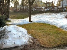 Spring has sprung