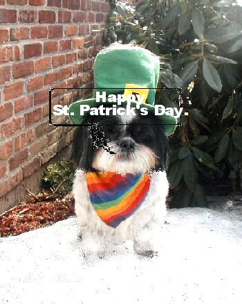 Happy SP Day