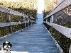 Stairs Katie