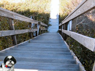 Stairs Katie