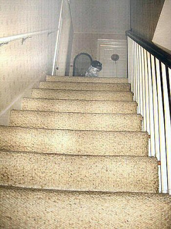 Stairs...Katie
