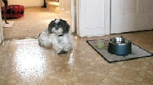Supper...where's my supper?