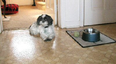 Supper...where's my supper?