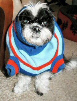 Sweater Katie