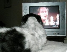 TV watching