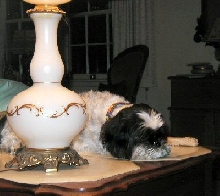 Table Katie sleeping